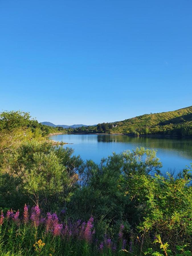 Il Bosco Di Campo Marzano Garden Apartments Borzonasca エクステリア 写真