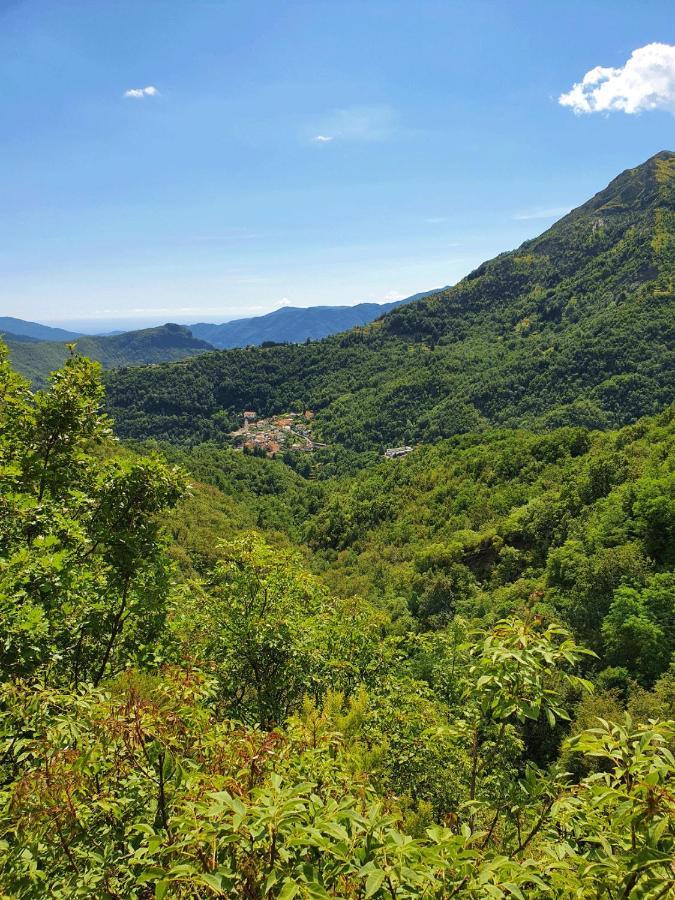 Il Bosco Di Campo Marzano Garden Apartments Borzonasca エクステリア 写真