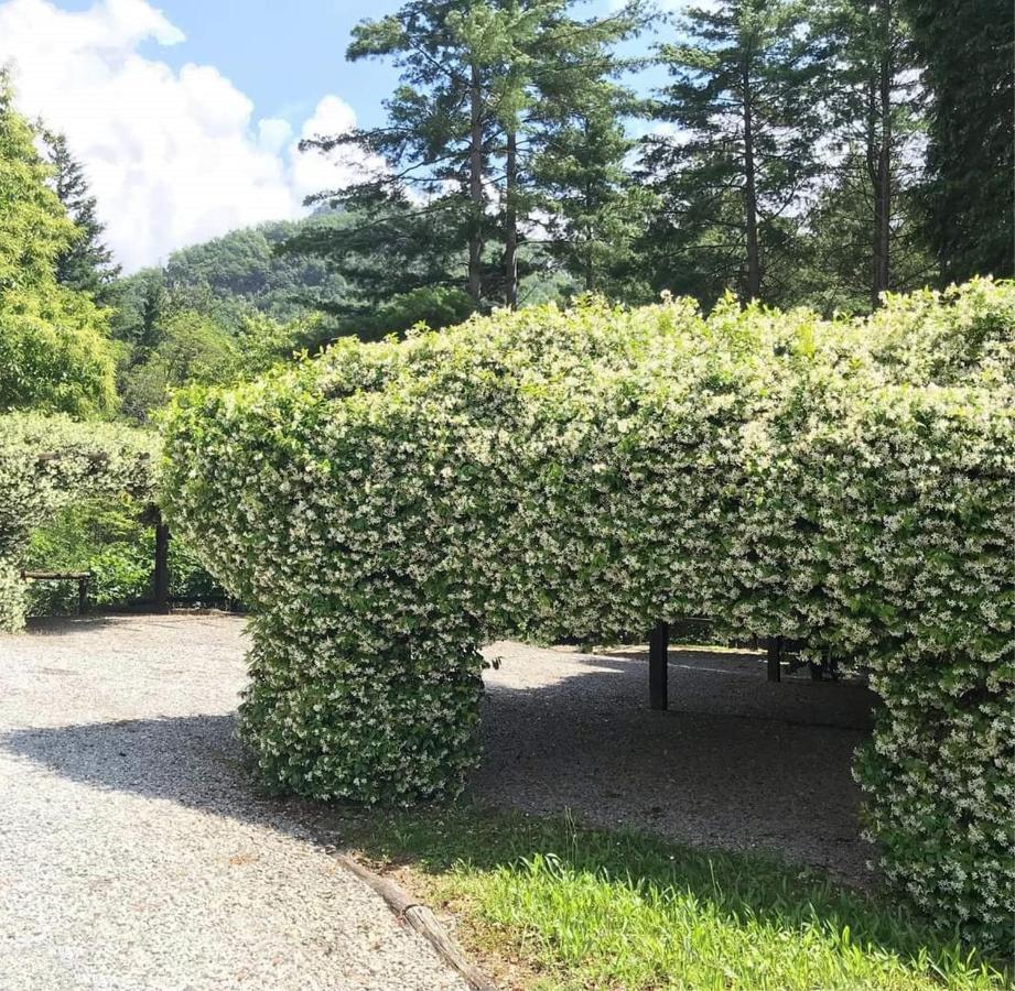 Il Bosco Di Campo Marzano Garden Apartments Borzonasca エクステリア 写真