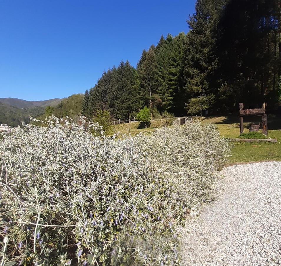Il Bosco Di Campo Marzano Garden Apartments Borzonasca エクステリア 写真
