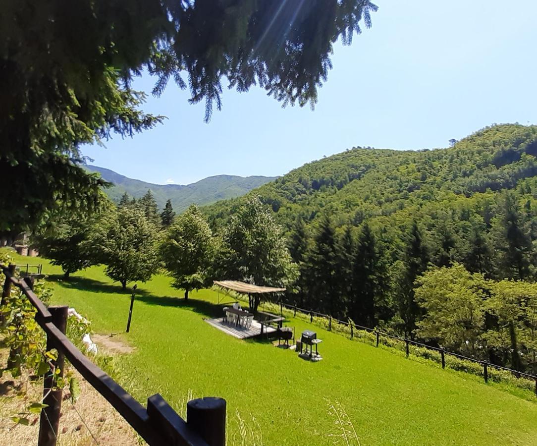 Il Bosco Di Campo Marzano Garden Apartments Borzonasca エクステリア 写真