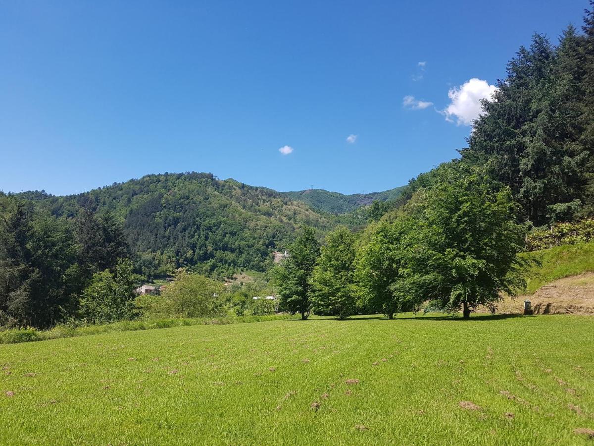 Il Bosco Di Campo Marzano Garden Apartments Borzonasca エクステリア 写真