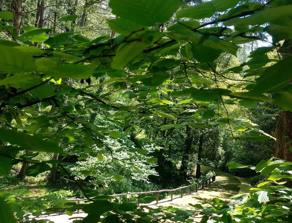 Il Bosco Di Campo Marzano Garden Apartments Borzonasca エクステリア 写真