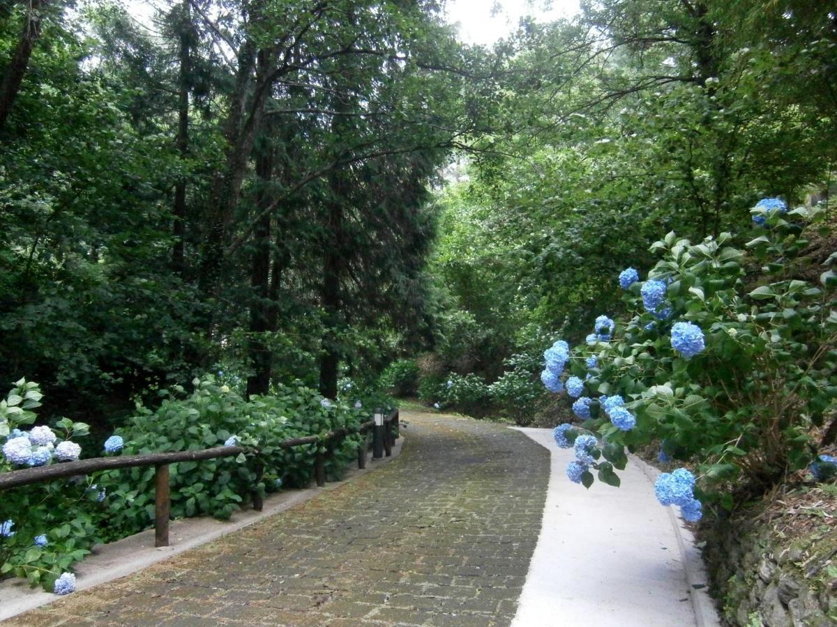 Il Bosco Di Campo Marzano Garden Apartments Borzonasca エクステリア 写真