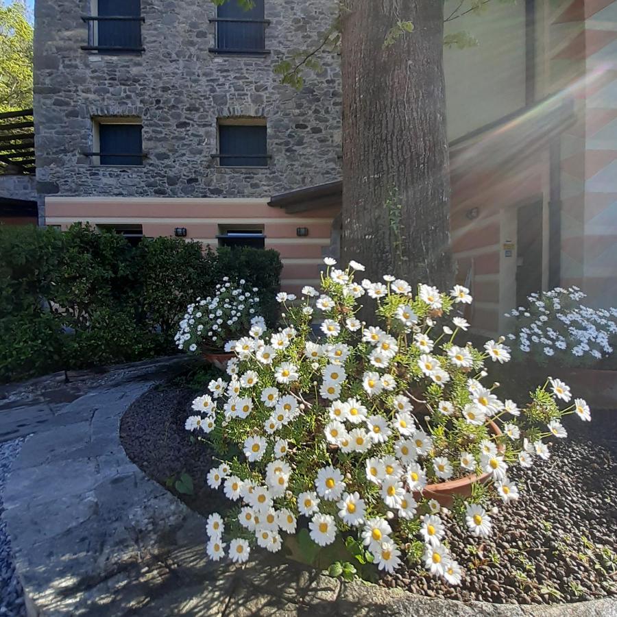Il Bosco Di Campo Marzano Garden Apartments Borzonasca エクステリア 写真